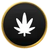 Cannabis